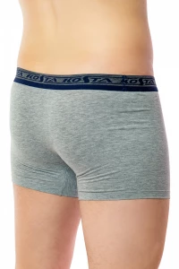 Боксери чоловічі