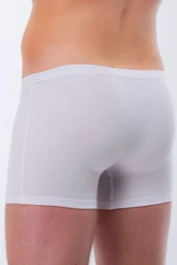 Боксери чоловічі міні