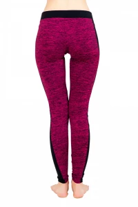 Лосини жіночі