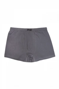 Боксери хлопчачі