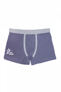 Боксери хлопчачі