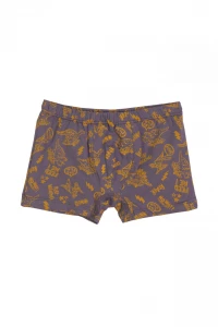 Труси-шорти хлопчачі