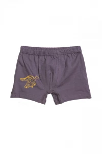 Труси-шорти хлопчачі