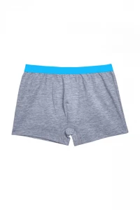 Труси-шорти хлопчачі