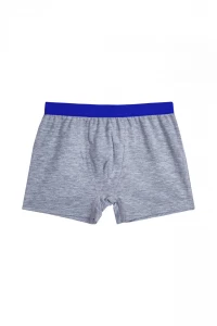 Труси-шорти хлопчачі
