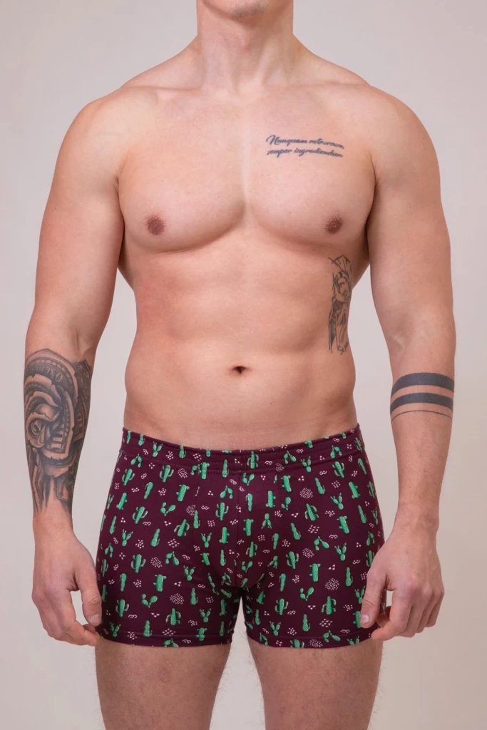 Боксери чоловічі