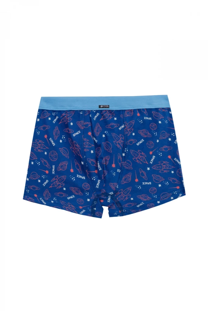 Боксери хлопчачі