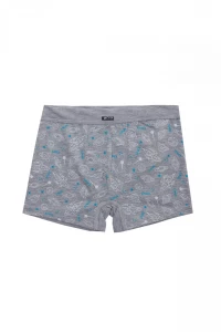 Боксери хлопчачі