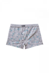 Боксери хлопчачі