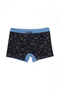 Боксери хлопчачі