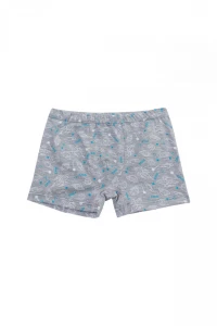 Боксери хлопчачі