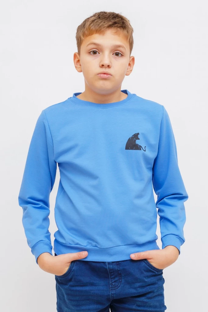 Світшот для хлопчика