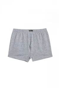 Боксери хлопчачі