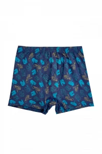 Боксери хлопчачі