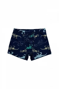 Боксери хлопчачі