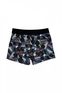 Боксери хлопчачі