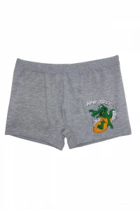 Боксери хлопчачі