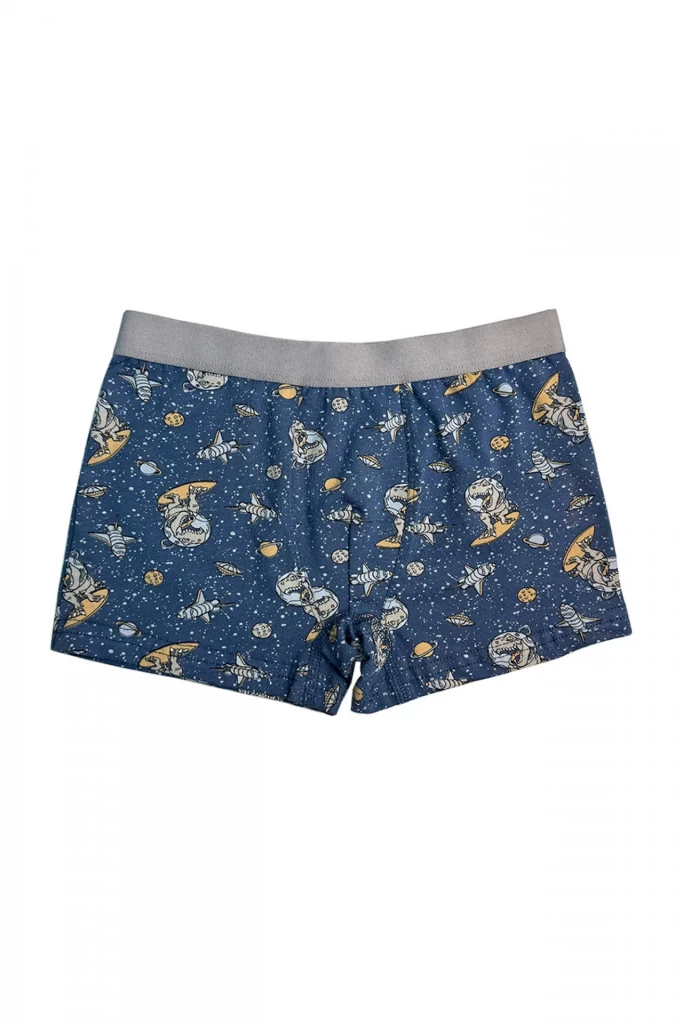 Боксери хлопчачі